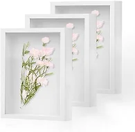 Shadow Box Frame 8x10 - 3 Pack Wood Deep Shadowbox with Glass