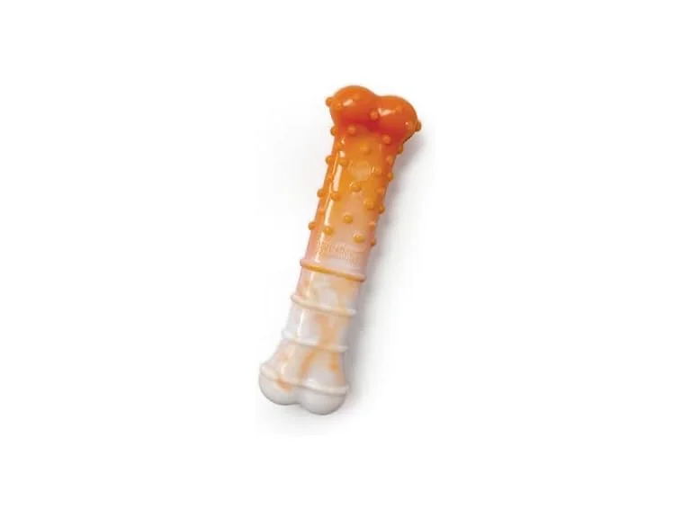 Nylabone Power Chew Textured Bone Dog Toy, Roasted Chicken XS