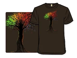 Transitions - Men's Small