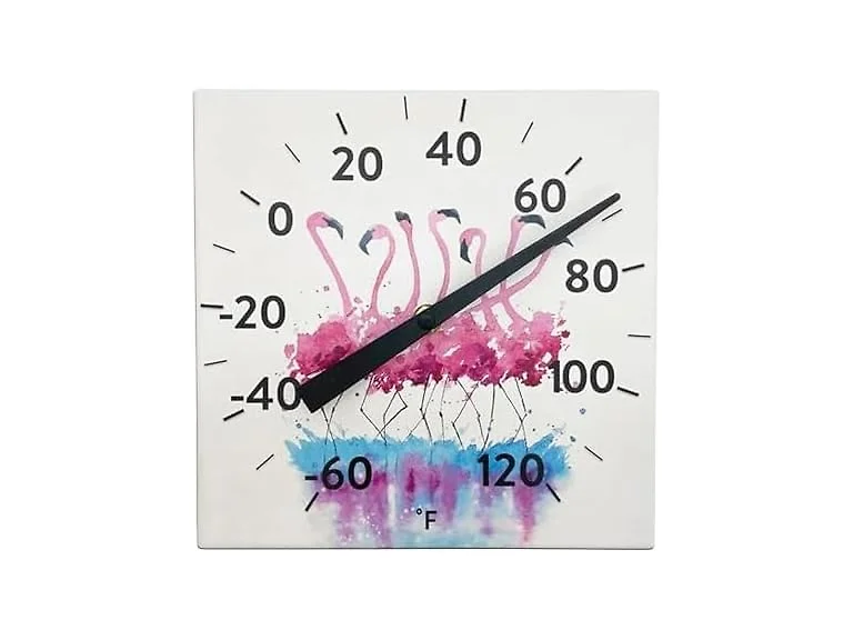 Taylor 8INP Tabletop Thermometer