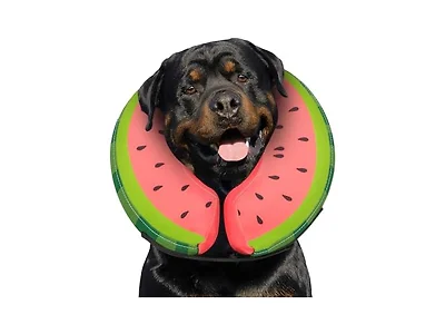 Dog Cone Collar for Small Medium Large Dogs