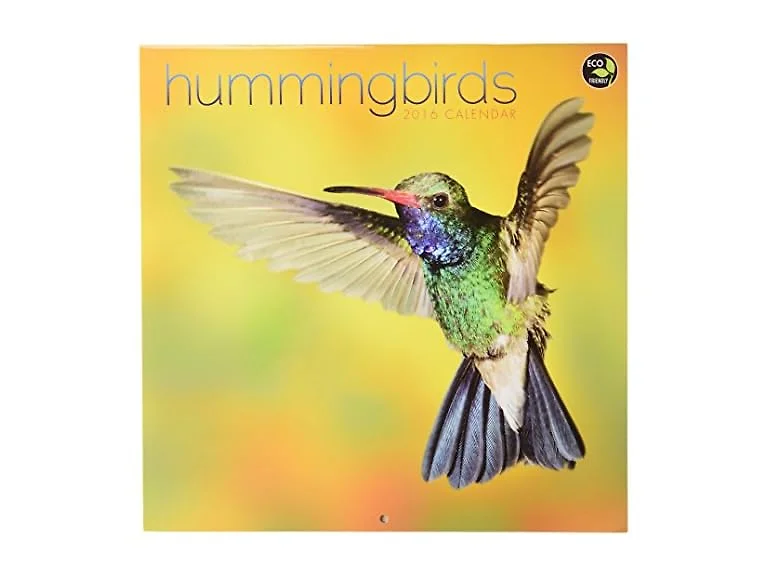 TF Publishing Hummingbirds Wall Calendar by 2016