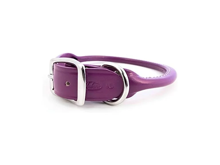 Auburn Leathercrafters Rolled Dog Collar