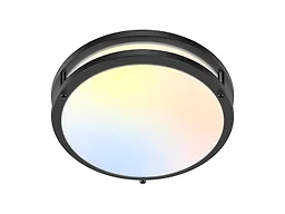 GoBright B0G3X39R5K 10 Inch Black Ceiling Light 1-