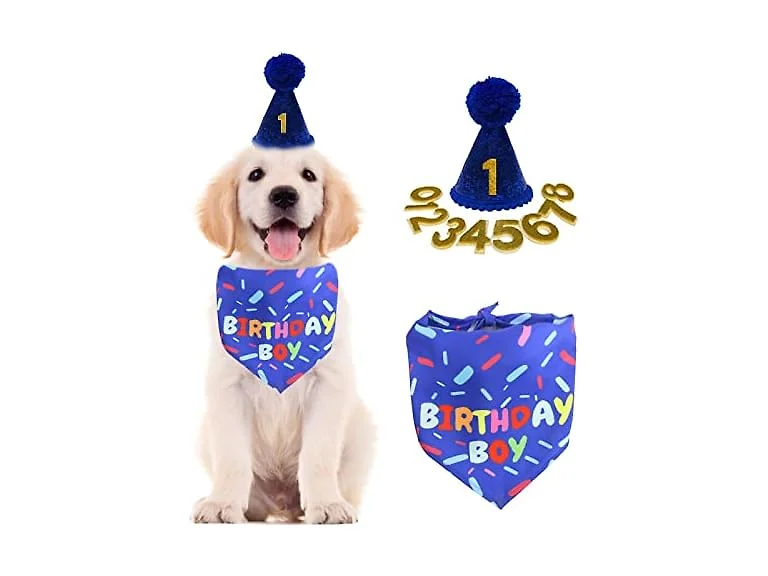 Dog Birthday Bandana Scarf, Boy Dogs Birthda