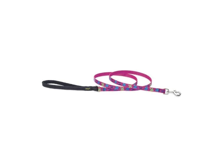 LupinePet Originals 1/2" Wing It 4-foot Padded Leash