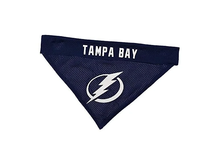 NHL TAMPA BAY LIGHTNING BANDANA for DOGS & C