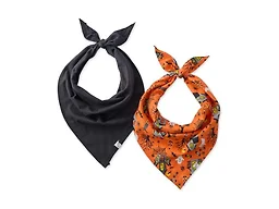 Pet Passion Bandit - THE PET Bandana 100% Organic Cotton Pet Bandanas Clothes for Small, Medium, Large Dogs​​, 2-Pack Spooky, X-Small/Small
