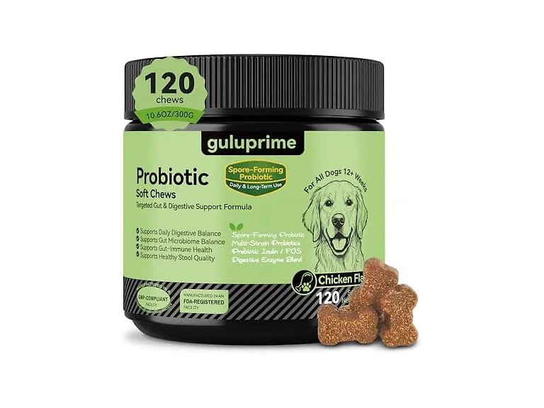 Dog Probiotic Chews, Probiotics