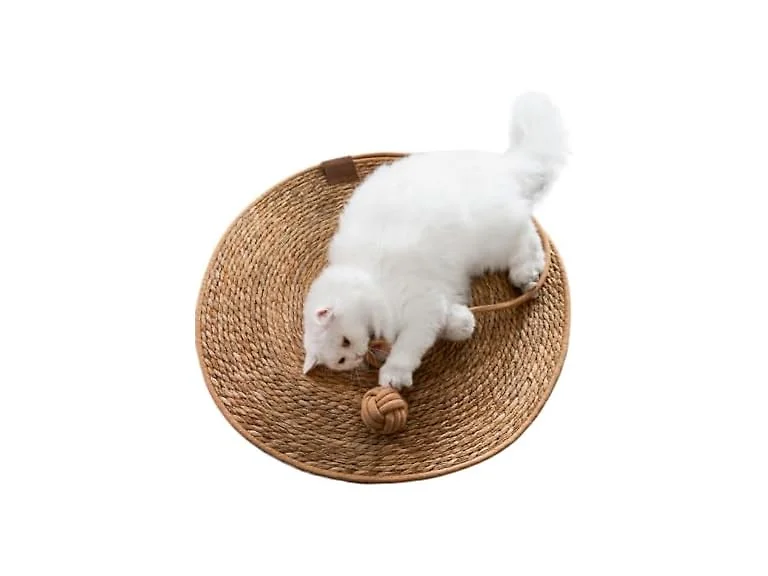 SSDHUA Round Cat Scratching Board Bed