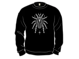 Nocturnal Tarantula