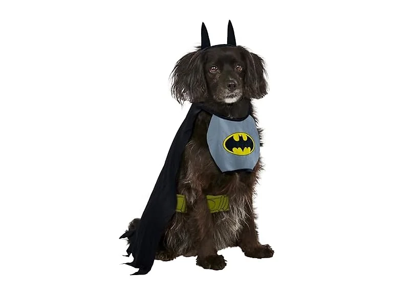 DC Comics Superheroes: Batman Pet Costume for