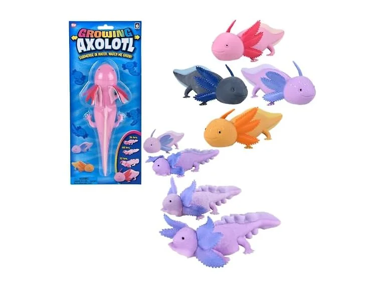 Rhode Island Novelty 9" Growing Axolotl