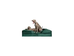 NOAH & PAW SO-VE-DGR-XXL XXL NOAH & PAW Dog Bed - Sofa 