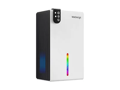WoEleLigt Dehumidifier for Home