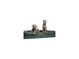 NOAH & PAW SO-LE-GR-XXL XXL NOAH & PAW Dog Bed - Sofa 