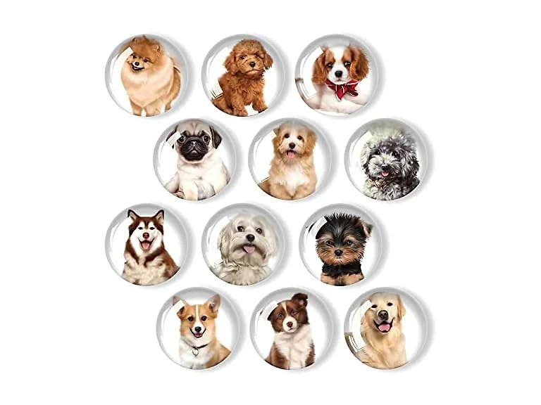 12Pcs Glass Refrigerator Magnet Décor