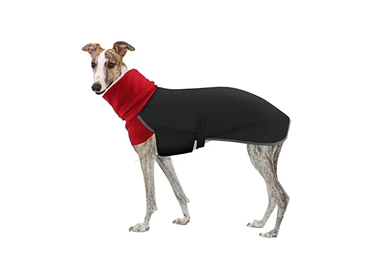 Greyhound Winter Coat, Dog Jacket Waterproof