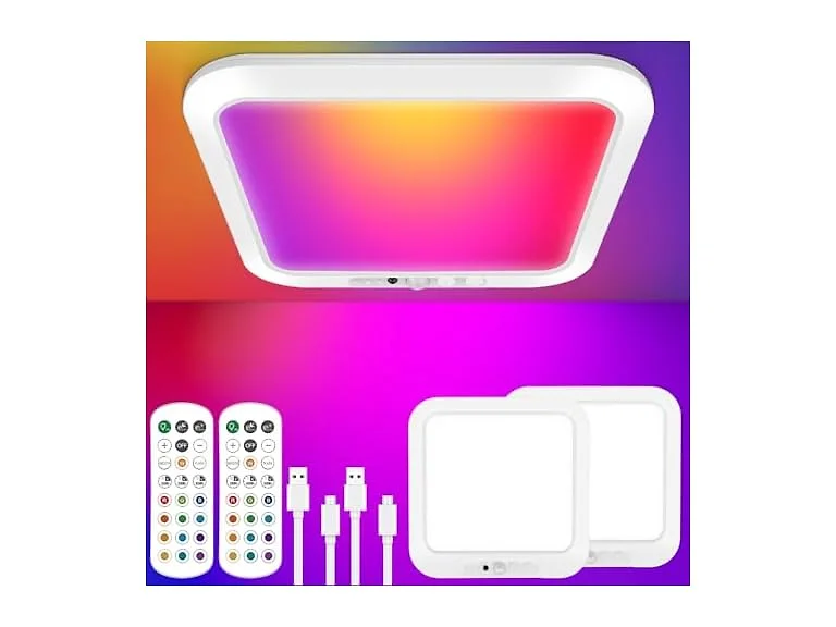 Rechargeable Motion Sensor Ceiling Light with Remote
