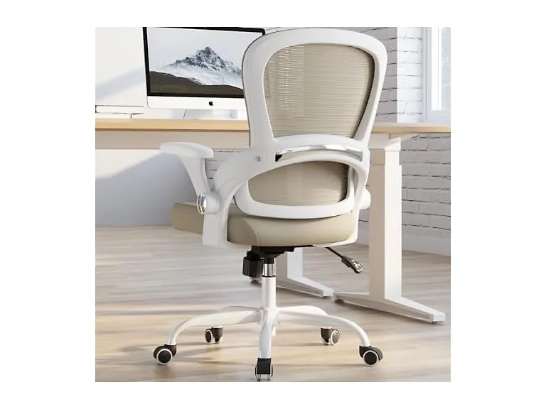 TRALT Ergonomic Office Chair