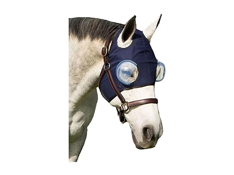 Eye Protection Recovery Hood