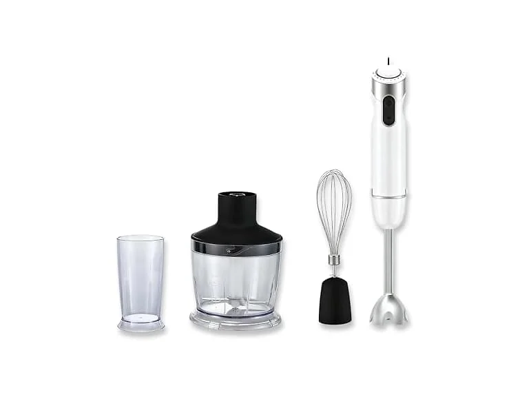 MEGAWISE Immersion Hand Blender, 1000W 