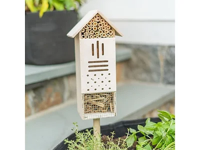 Touch of ECO Bee & Butterfly Wooden Home