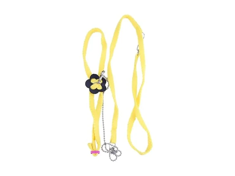 Bird Flying Rope, Bird Anti bite Outdoor Fly