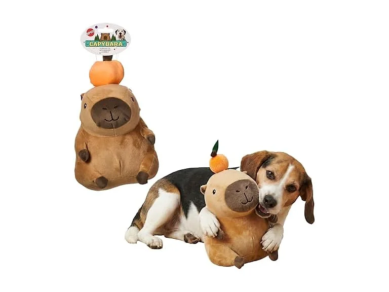 SPOT Capybara with Orange Plush Dog Toy