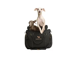 Noah & Paw Small Canvas Dog Car Seat Carrier