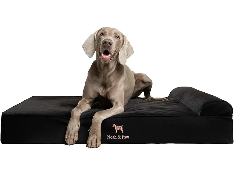 NOAH & PAW Orthopedic Dog Beds- XLarge