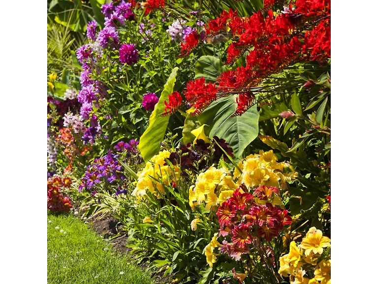 English Garden Flower Mix Collection