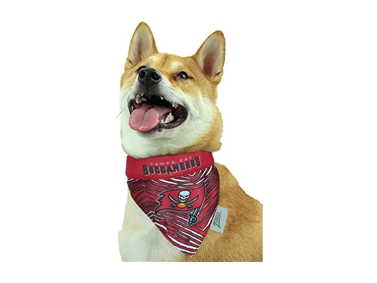 Zubaz NFL Team Reversible Pet Bandana fo Cat