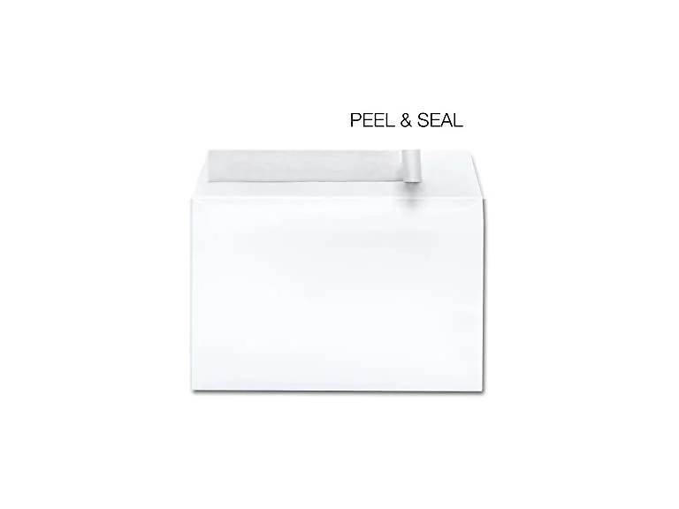 250 Envelopes Self Seal 6x9 White