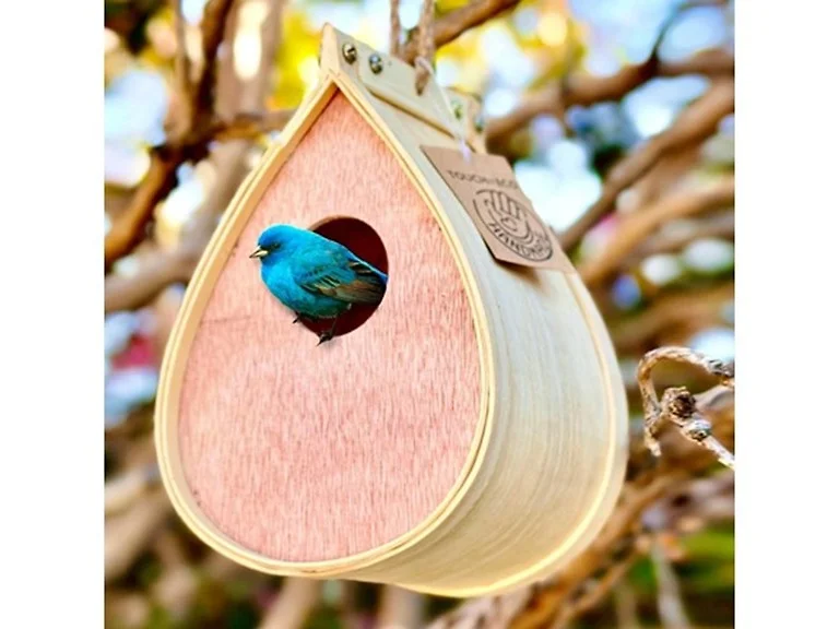 Pollinating Palace - Bird House