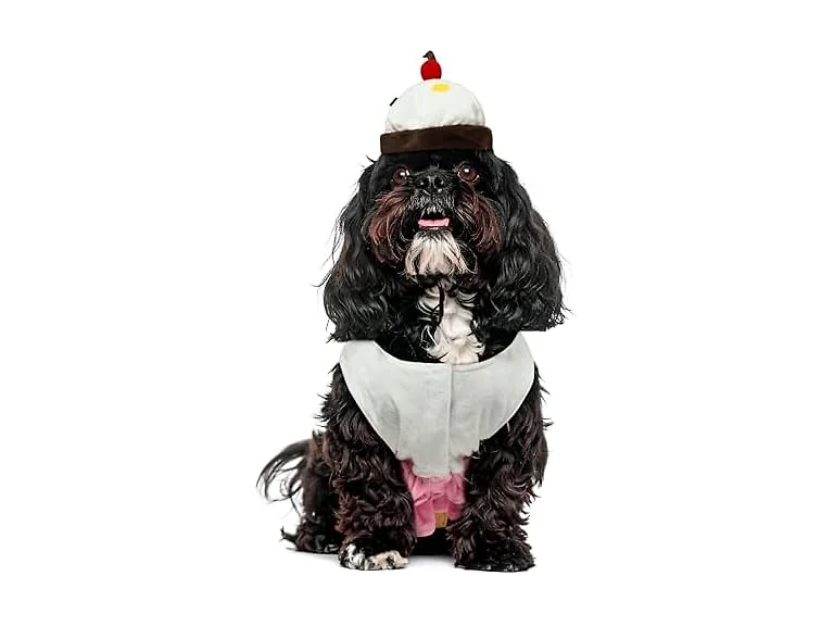 Rubies Cupcake Pet Costume for Dogs