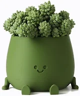 TOPOLA Happy Face Planter, 5.2 Inches Plastic Plant Pot, Self Watering Plant Pot with Drainage Holes for Indoor Outdoor, Succulent Pot, Funny Flower Pot, Dark Green