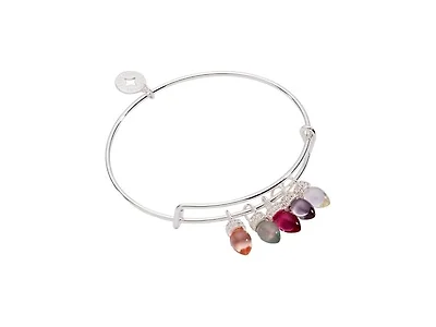 Alex and Ani Christmas Muted Light Bulb