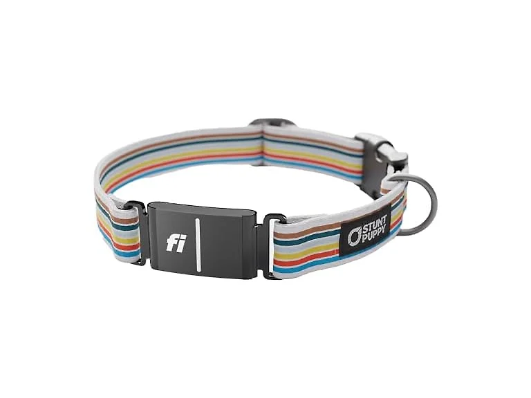 Stunt Puppy Dog Collar, Fi Series 3 and 3+ R