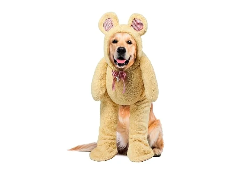 Rubies Walking Teddy Bear Pet Costume for Dog