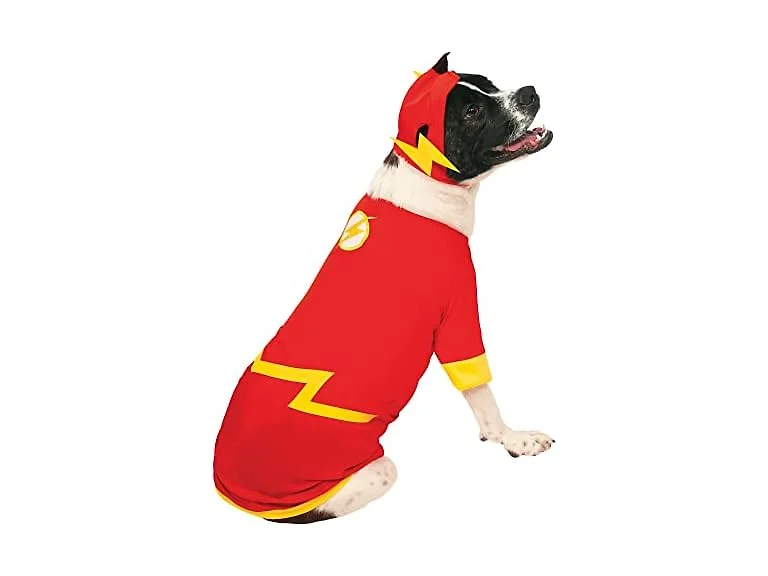 DC Comics Superheroes: The Flash Pet Costume, Medium