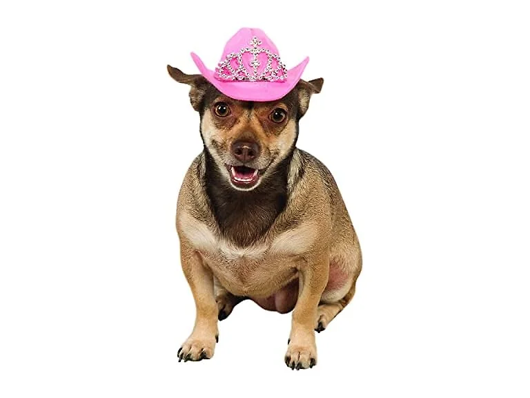 Dog Hat with Tiara (S/M)