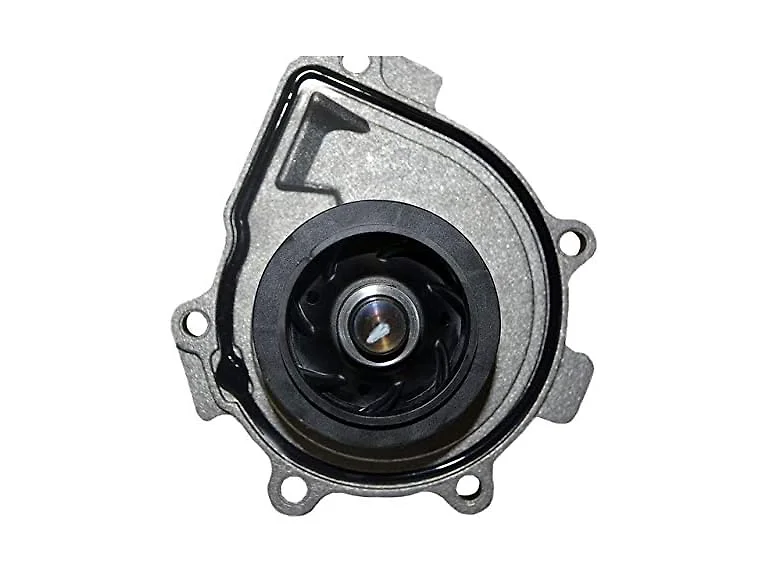 Genuine GM Pump Part# 25195119