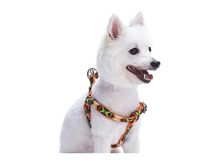 Blueberry Pet 2 Clr Soft & Comfy Step-in Sou