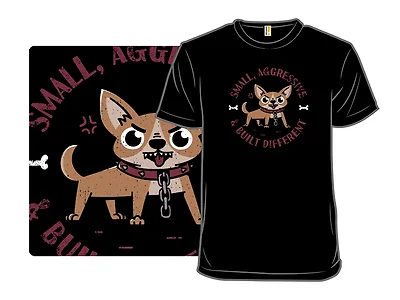 Feral Chihuahua