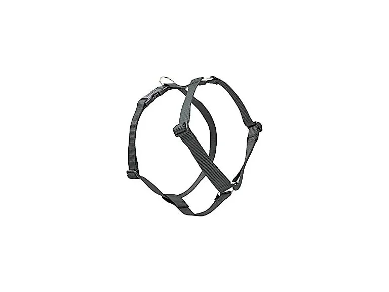 LupinePet Basics 1/2" Black 9-14" Adjustable Harnass