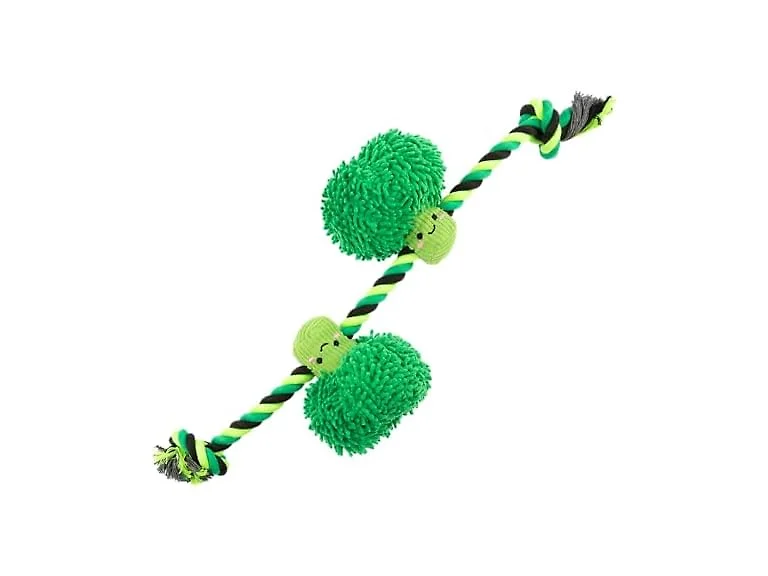 Dole for Pets Dog Rope Toy with Squeakers, Broccoli