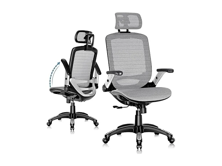 GABRYLLY GYG01 Ergonomic Office Chair