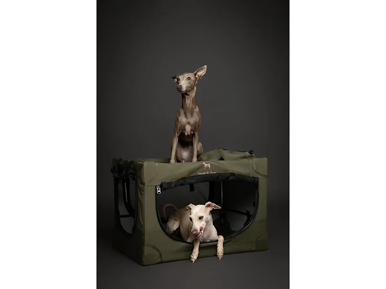 NOAH & PAW Collapsible Dog Crate- Medium
