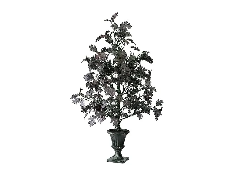 National Tree Company Black Oak Tree, 4 Feet